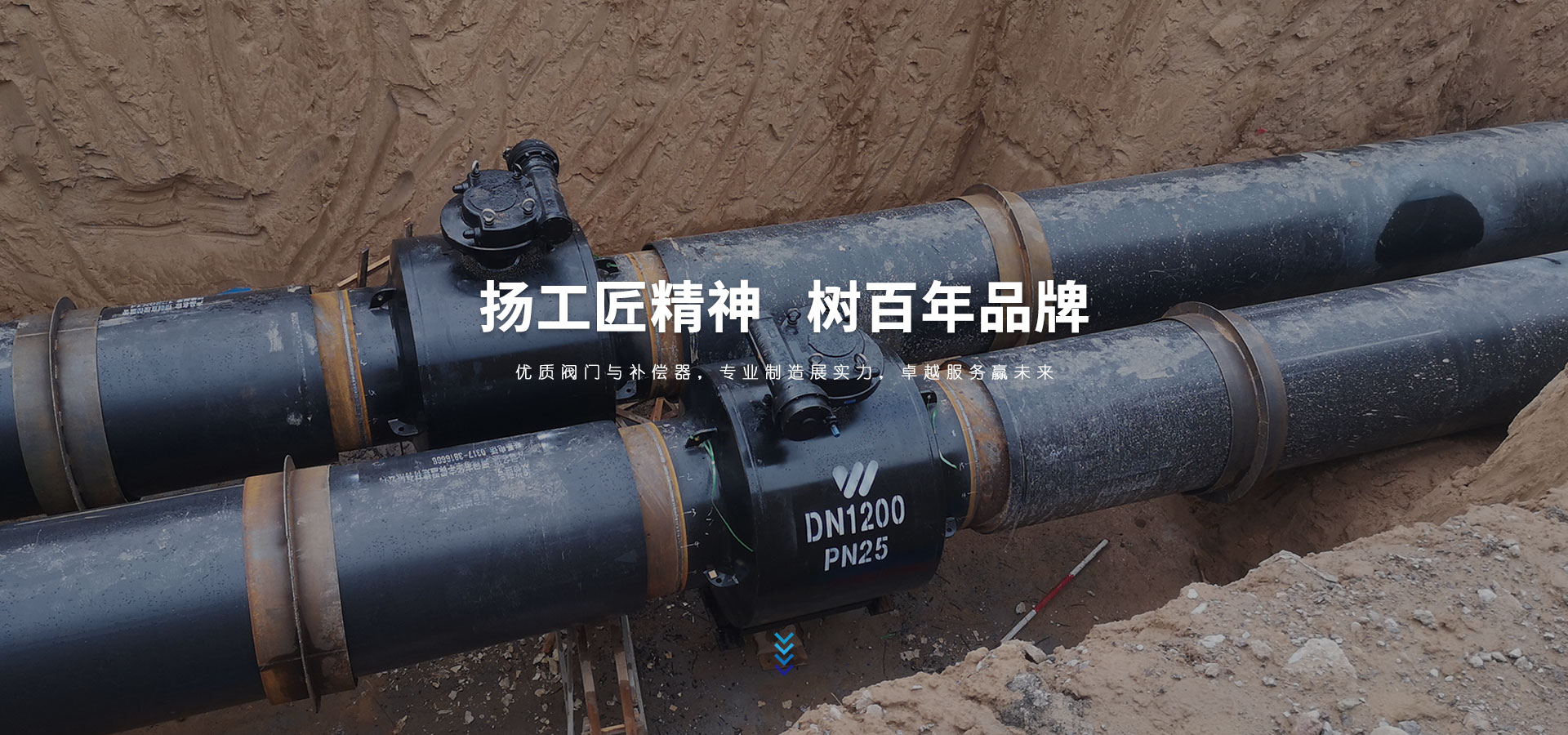 沃奧芙閥門制造有限公司